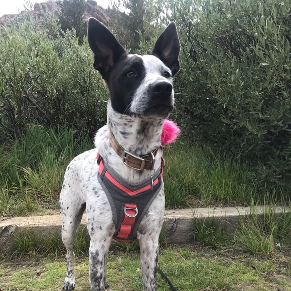 Meet your Posher, Andrea - Picture 2 of 5